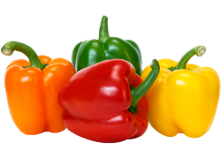 Green Capsicum (Hoho) • 1 Kg