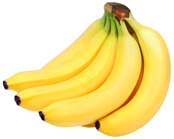 Plantain Facts You’ll Love